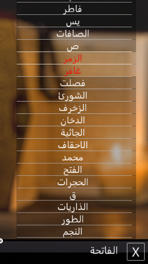 ميثم التمار القران الكريم صوت بدون نت Screenshot 2