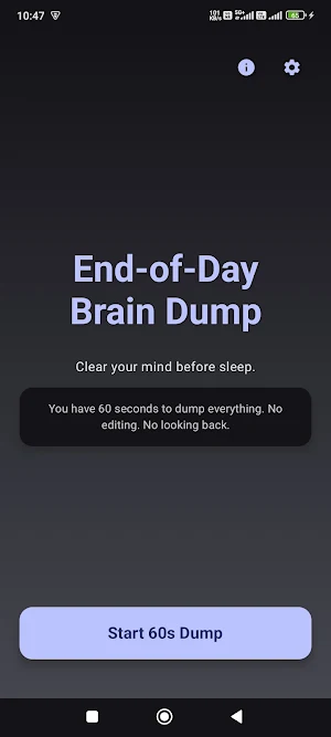 End-of-Day Brain Dump Screenshot 3