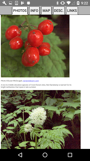 Québec Wildflowers Screenshot 3