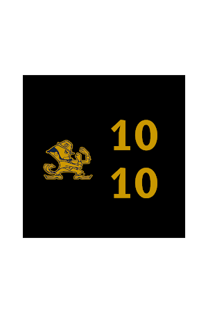 Notre Dame Classic Watchface Screenshot 3