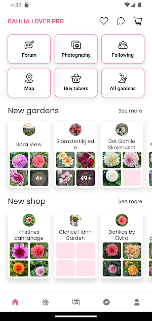 My Dahlia Garden Screenshot 2