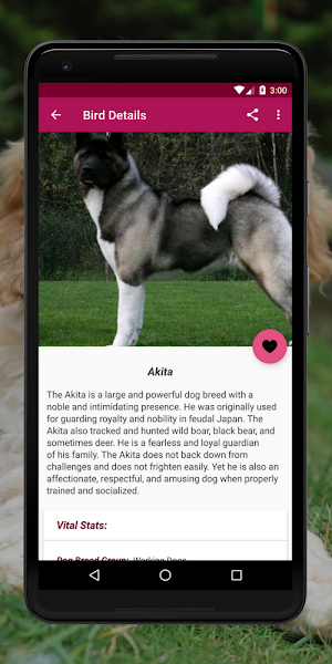 Dog Breeds Encyclopedia: Dog Breeds App Screenshot 3