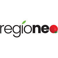 Regioneo Manager