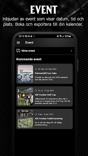 AIK Hockey Screenshot 2