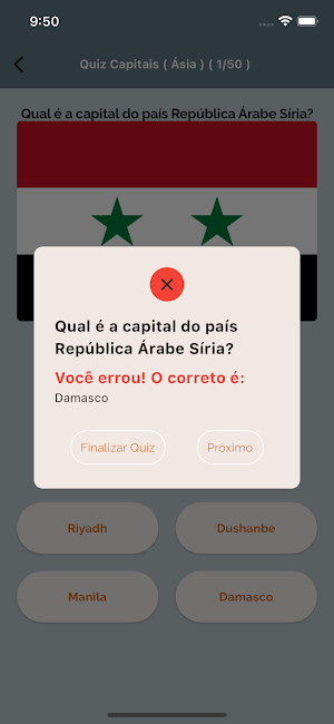 Countries And Flags Screenshot 2