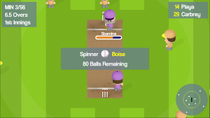 Smashtastic Cricket Screenshot 0