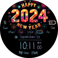 BFF48 - New Year Firework 2024