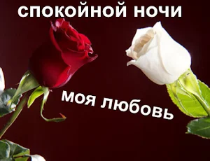 спокойной ночи Screenshot 3