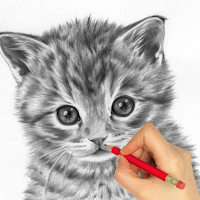 How to Draw Animals