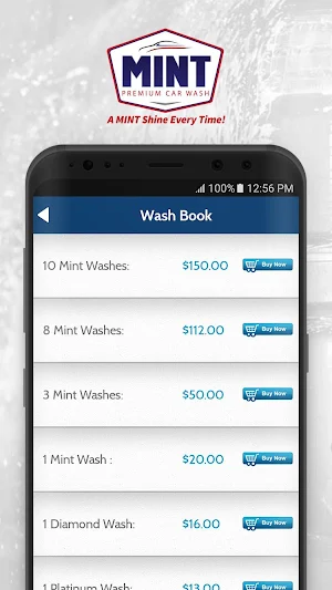 Mint Car Wash Screenshot 1