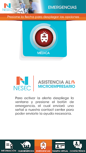 NESEC MICROEMPRESARIO Screenshot 1
