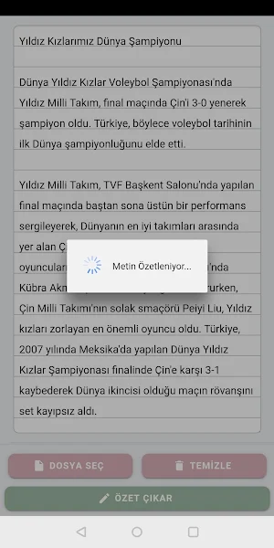 Türkçe Metin Özetle Screenshot 3