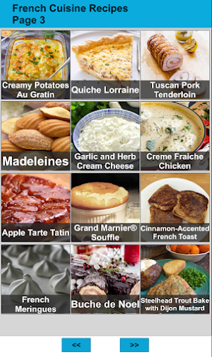 120 French Cuisine Recipes Screenshot 2