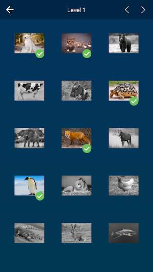 Guess the Animal: Photo Quiz Screenshot 2
