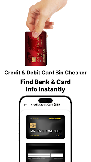 Credit Card Data Check Online Screenshot 3