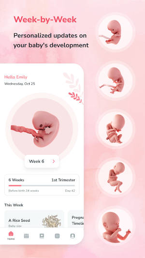 Pregnancy Tracker & Day by Day Screenshot 1