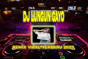 Dj Lungun Gayo Viral Screenshot 0