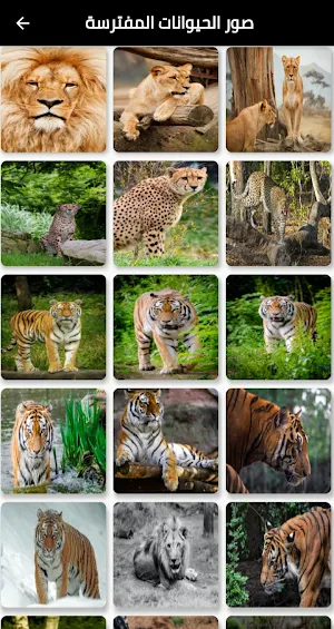 Pictures of ferocious animals صور الحيوانات الشرسه Screenshot 0