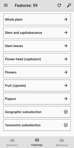 Key to the Cassinia group Screenshot 1