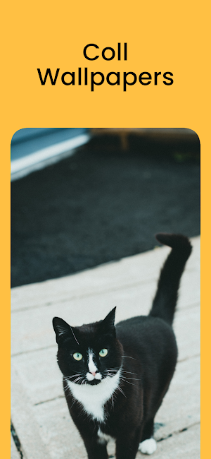 Theme for Vivo v23 Screenshot 2