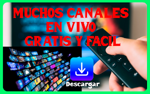 CANALES DE TV EN VIVO GUIA Screenshot 3