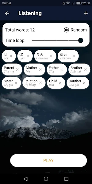 Vocabulary Notebook Screenshot 2