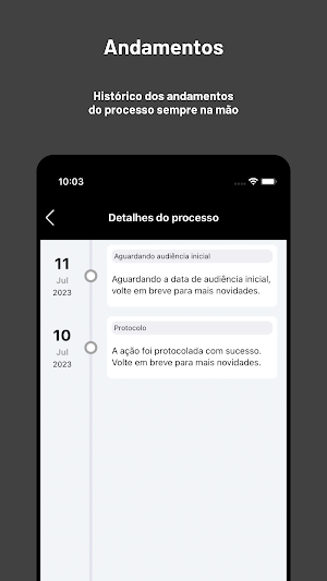Ruy Alves Advocacia Screenshot 3