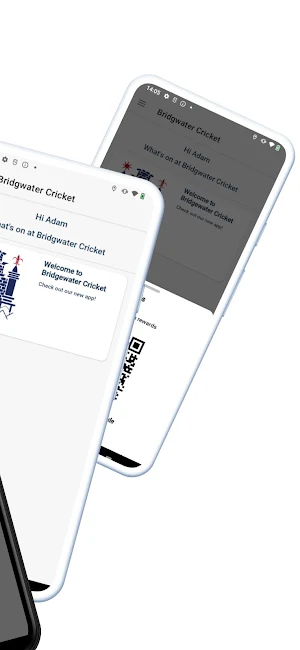 Bridgwater Cricket Screenshot 1