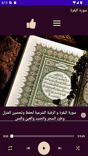 سورة البقرة بصوت حسن صالح Screenshot 1