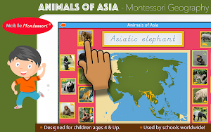 Animals of Asia - Montessori G Screenshot 0
