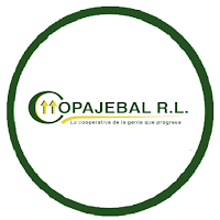 Cobros Copajebal