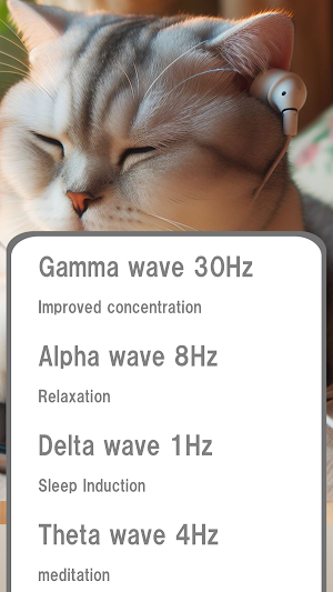 Cat Beats Focus Screenshot 2