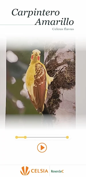 Naturaleza y asombro Screenshot 3