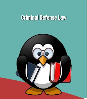 Criminal Defense Law Screenshot 3
