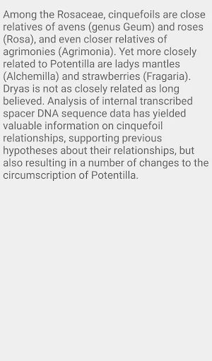 Potentilla Neumanianna Screenshot 3