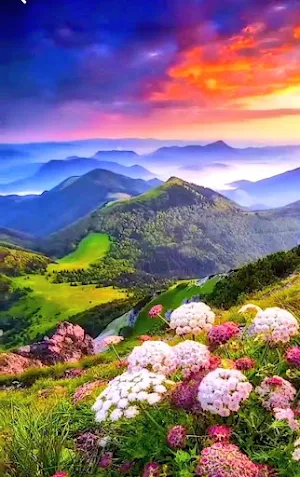 Beautiful landscapes Screenshot 2