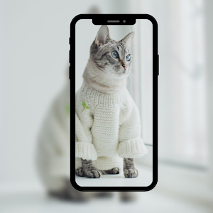 خلفيات لقط 4k لطيف Screenshot 3