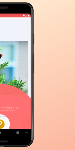 Bird Images and Facts Screenshot 3