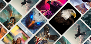 Eagle HD Wallpaper Screenshot 0