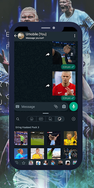 Haaland Animated WAStickers Screenshot 0