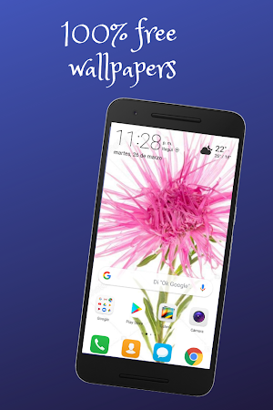 Images of Flowers Screenshot 1