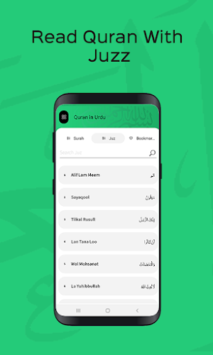 Quran in Urdu Translation Screenshot 2