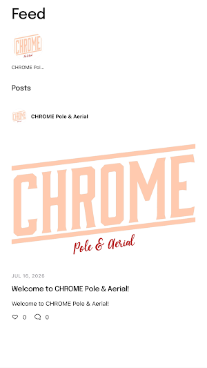 CHROME Pole & Aerial Screenshot 3