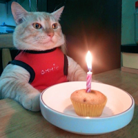 Happy Birthday Funny
