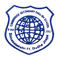 Cambridge S.E. School