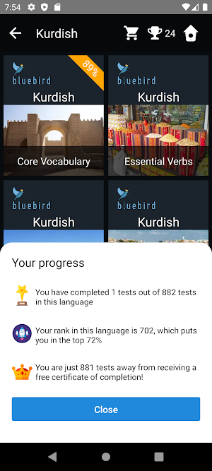 Kurdish Language Tests Screenshot 2