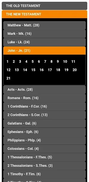 Well Bible - Vaiphei Screenshot 2
