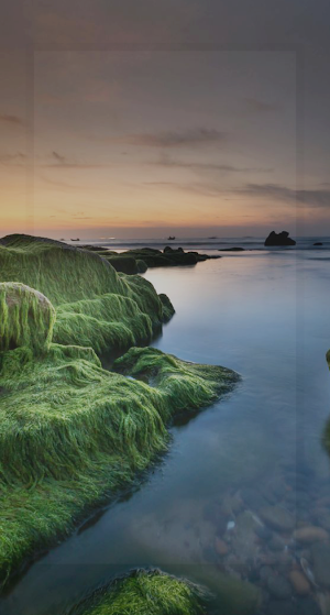 Wallpaper Sungai Screenshot 2