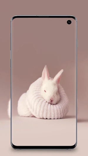 Rabbit wallpaper 4k - Bunny Wallpapers Screenshot 3