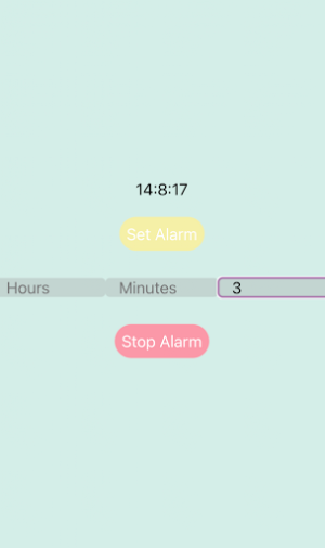 Alarm Screenshot 3
